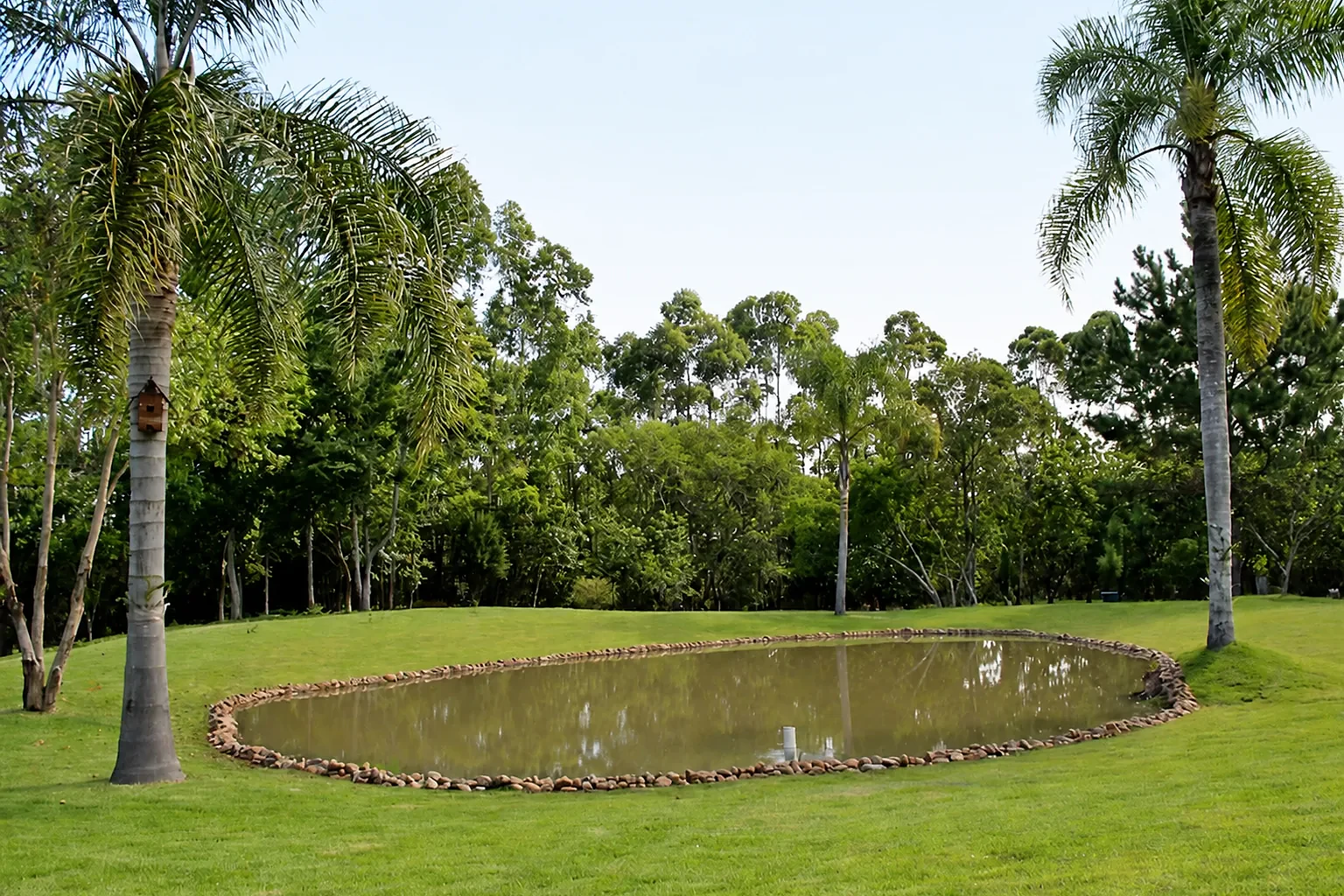 Jardim amplo e arborizado do Residencial Nova Belluno